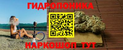 ГАЛЛЮЦИНОГЕННЫЕ ГРИБЫ Коммунар
